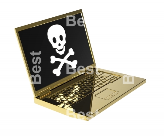 Skull and crossbones on the laptop screen.