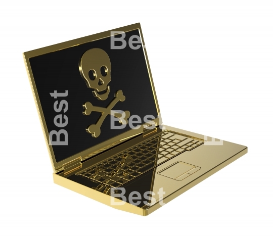 Skull and crossbones on the laptop screen.