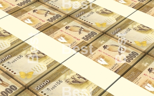 Sri Lankan bills stacks background
