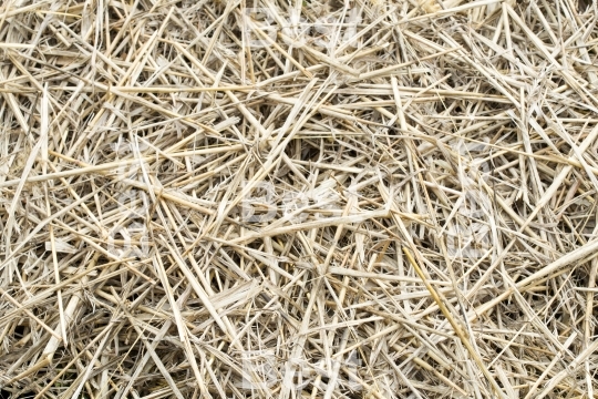 Straw background