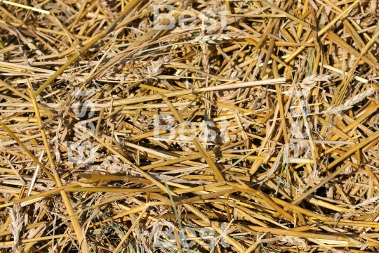 Straw textures