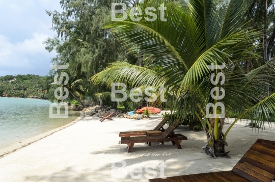 Sunbeds on the tropical beach