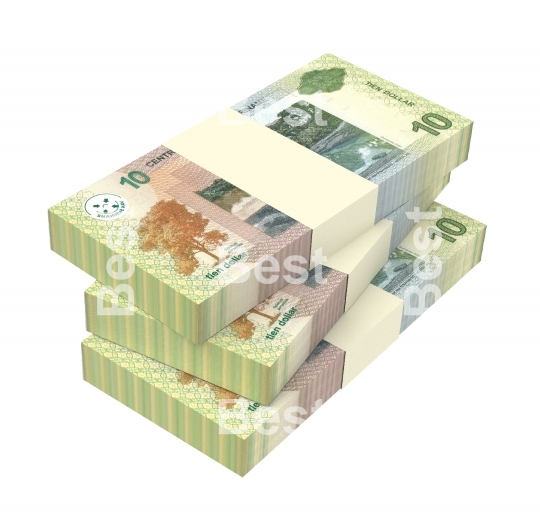Surinamese dollar bills stack isolated on white background