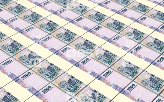 Tanzanian shilling bills stacks background