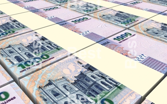 Tanzanian shilling bills stacks background
