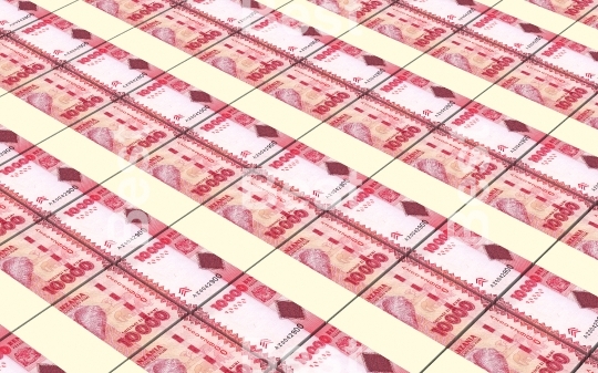 Tanzanian shilling bills stacks background