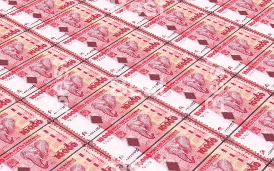 Tanzanian shilling bills stacks background