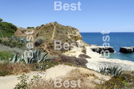 The beach in Albufeira