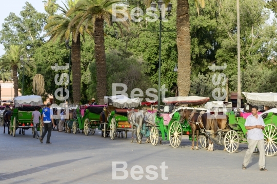 The Djemaa el Fna in Marrakesh