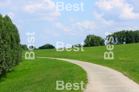 The road through the meadow