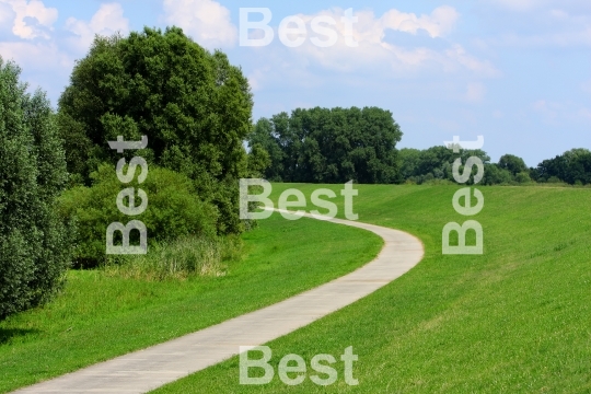 The road through the meadow