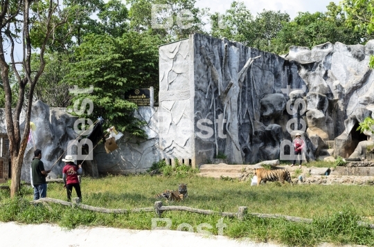 Tiger Kingdom in Phuket