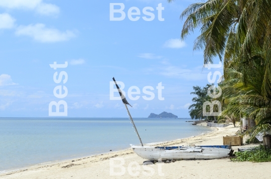 Tropical beach
