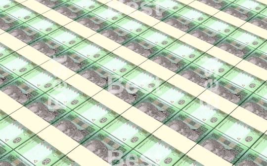 Ukrainian money stacks background