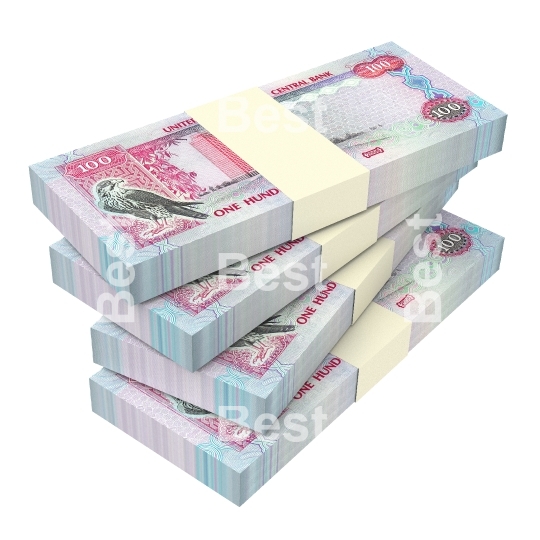 United Arab Emirates dirhams bills isolated on white background