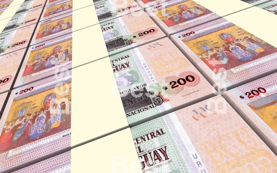 Uruguay peso bills stacks background