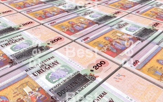 Uruguay peso bills stacks background