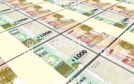 Uruguayan peso bills stacks background