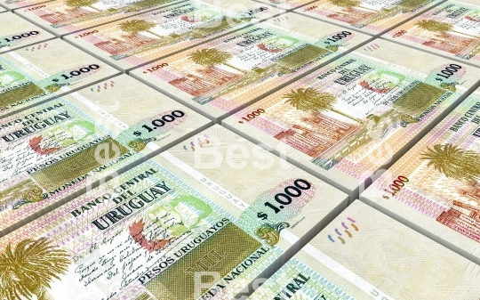 Uruguayan peso bills stacks background
