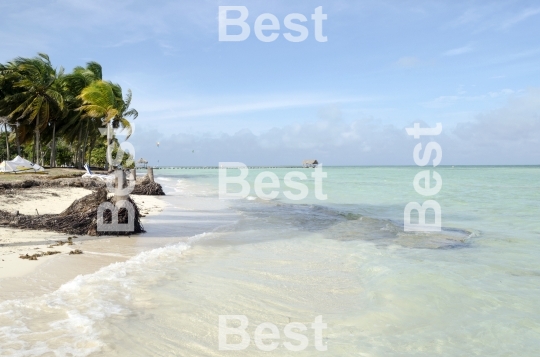 View of tropical beach in Cayo Guillermo