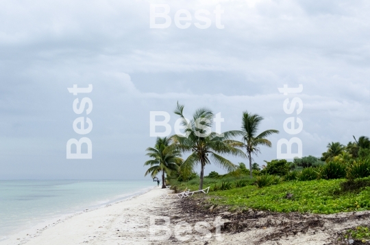 View of tropical beach in Cayo Guillermo