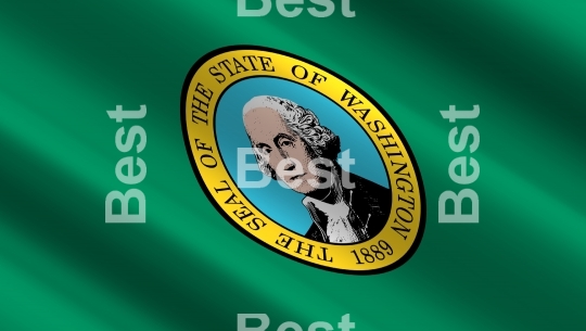 Waving flag of Washington state
