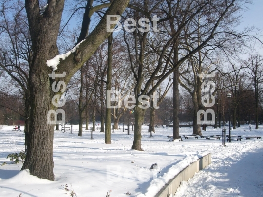 Winter In The Park