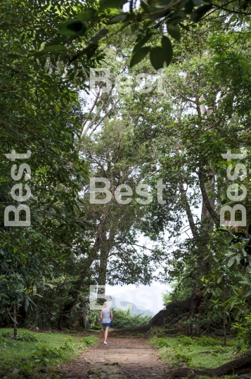 Woman walking through a tropical forest