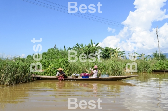 Women collecting lotus water lily on Inle Lake