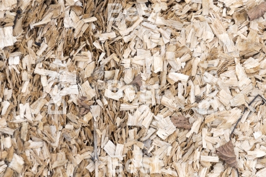 Wood sawdust 