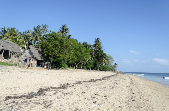 Zanzibar beach