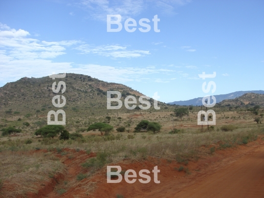 View of Masai savanna in the National Park - Tsavo. In the distant Kenya Mountains visible. 